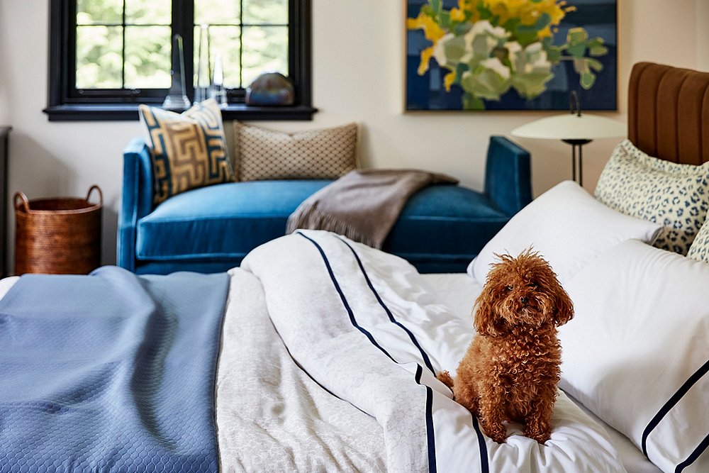 Tips for Creating a Home You and Your Pet Will Love